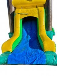 palm20party20bounce20house20combo20rental20tulsa20oklahoma20fayetteville20arkansas203 986212606 Palm Party Combo